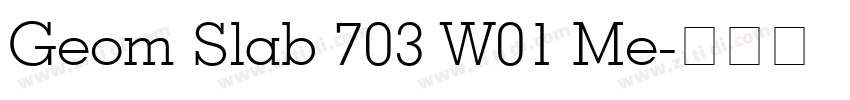 Geom Slab 703 W01 Me字体转换